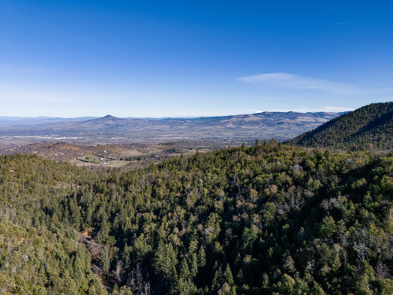 Griffin Creek Road Medford, OR 97501 - Photo 12 of 18 DJI_20250121122121_0034_DHDR25