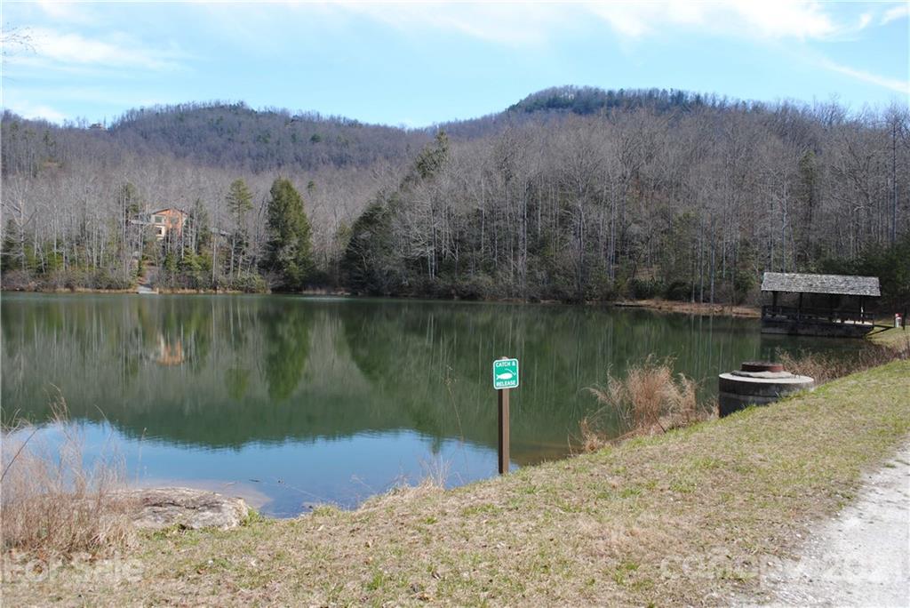 256 Deer Walk Road, Unit 256 Old Fort, NC 28762 - Photo 9 of 22 Gallery Image 9