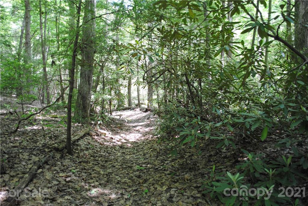 256 Deer Walk Road, Unit 256 Old Fort, NC 28762 - Photo 10 of 22 Gallery Image 10