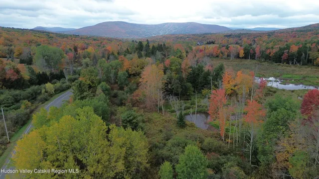 an aerial view of green landscape with trees houses and mountain view