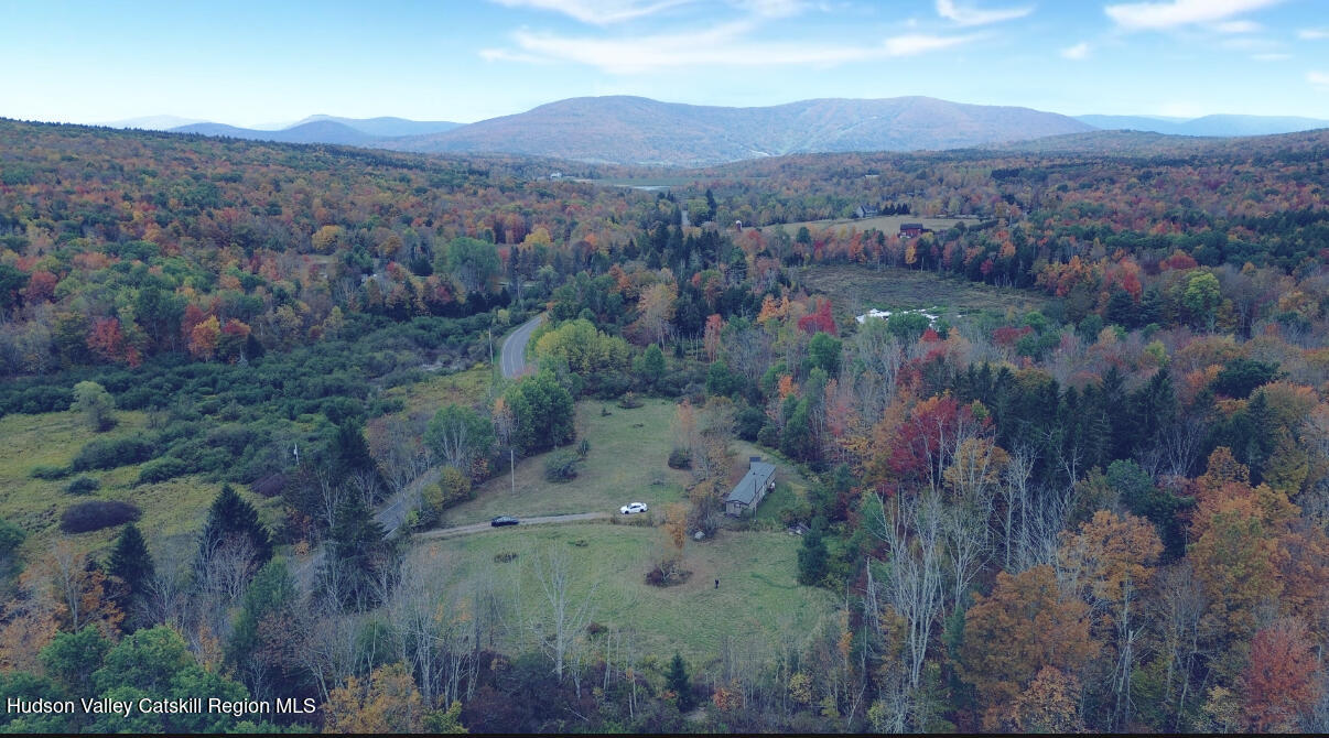 611 Mitchell Hollow Road Windham, NY 12496 - Photo 3 of 11 an aerial view of houses covered in trees