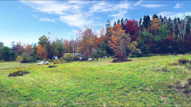 a view of a yard in front of the house