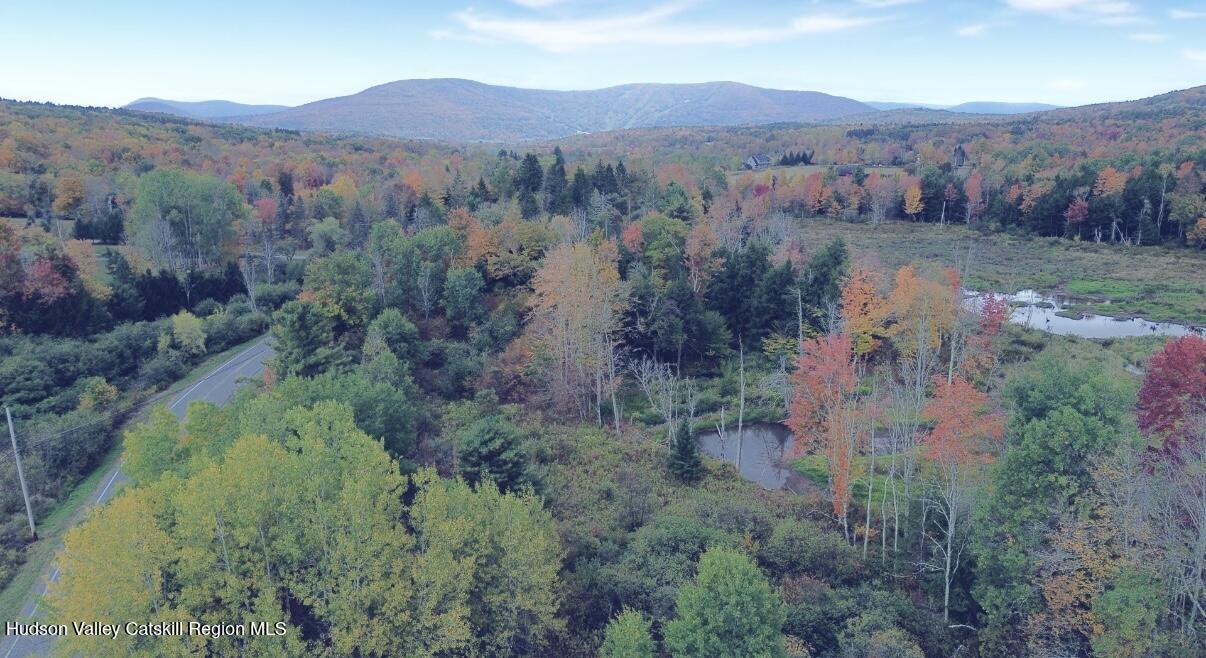 611 Mitchell Hollow Road Windham, NY 12496 - Photo 10 of 11 an aerial view of mountains residential house and green space