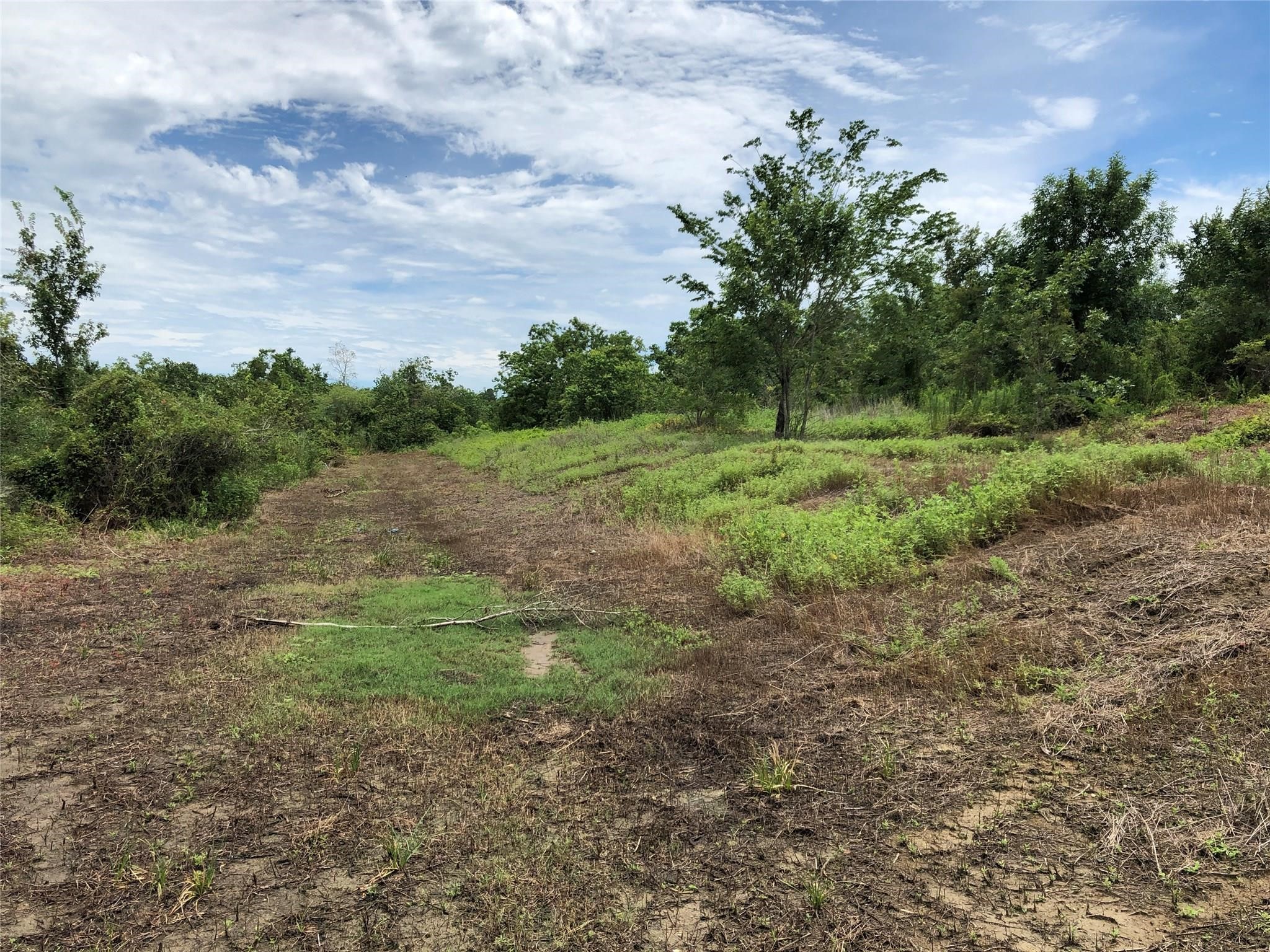 1 Steele Road Highlands, TX 77562 - Photo 16 of 35