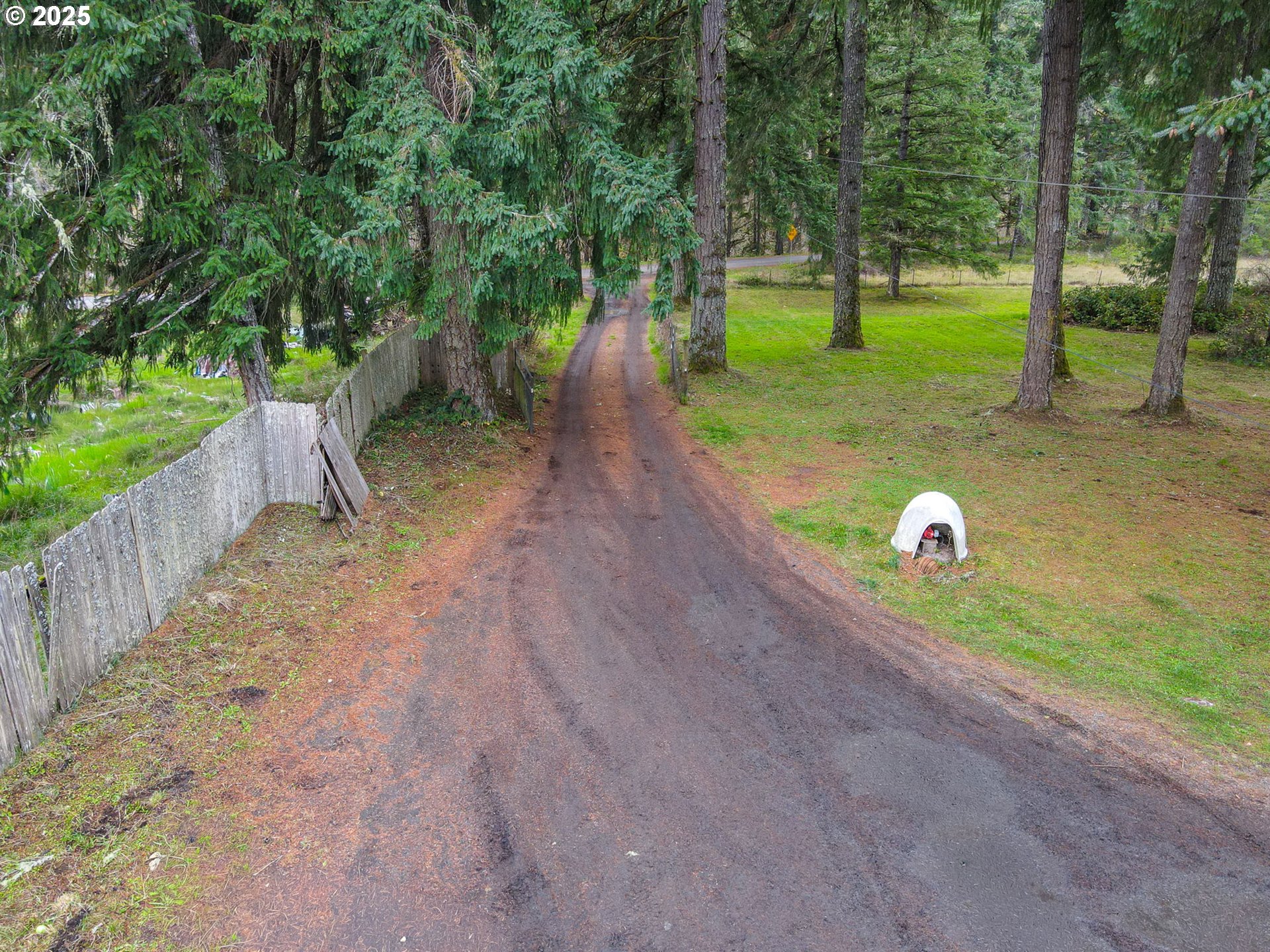 38269 Lower Brice Creek Road Dorena, OR 97434 - Photo 34 of 47