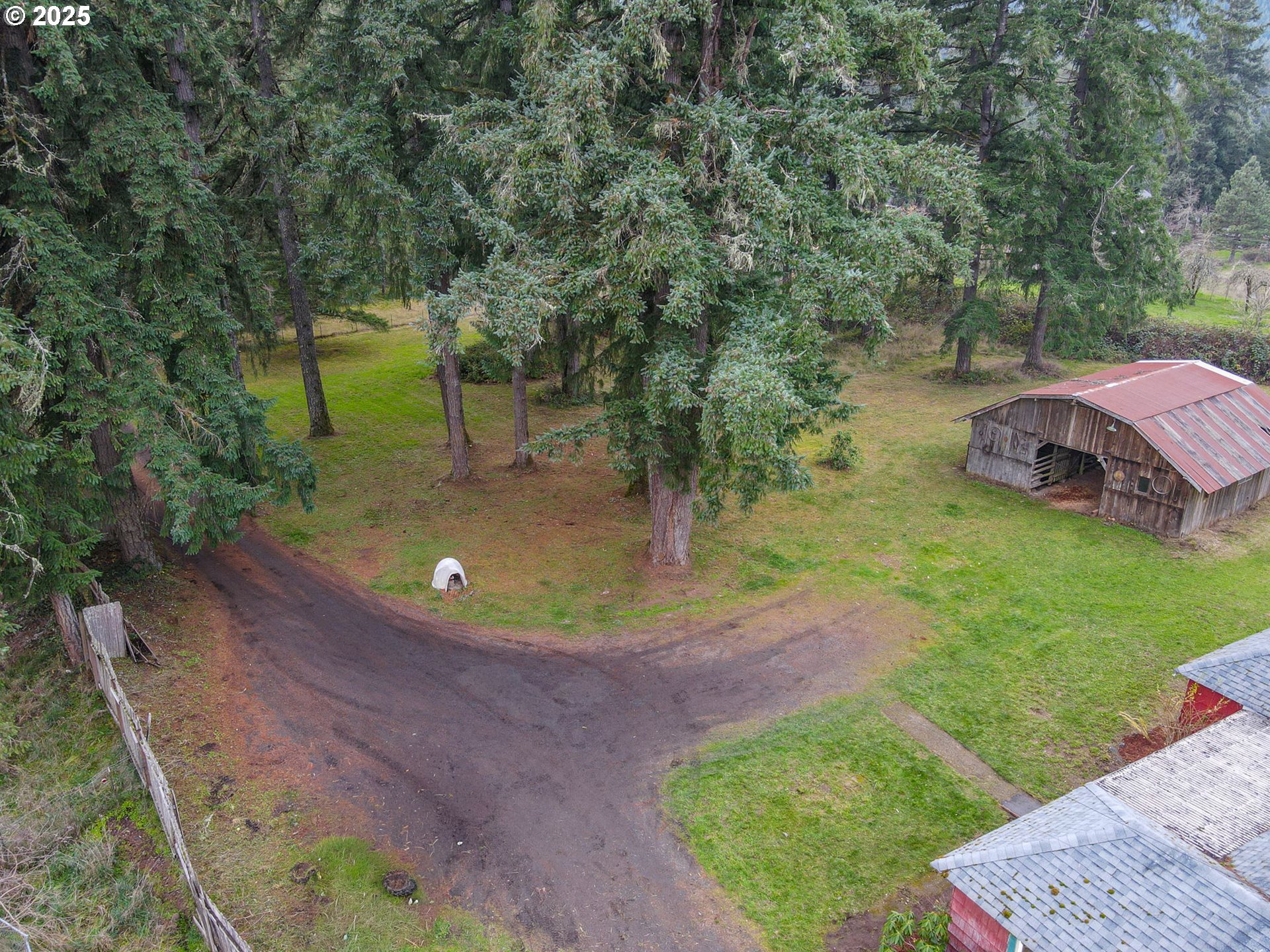 38269 Lower Brice Creek Road Dorena, OR 97434 - Photo 35 of 47