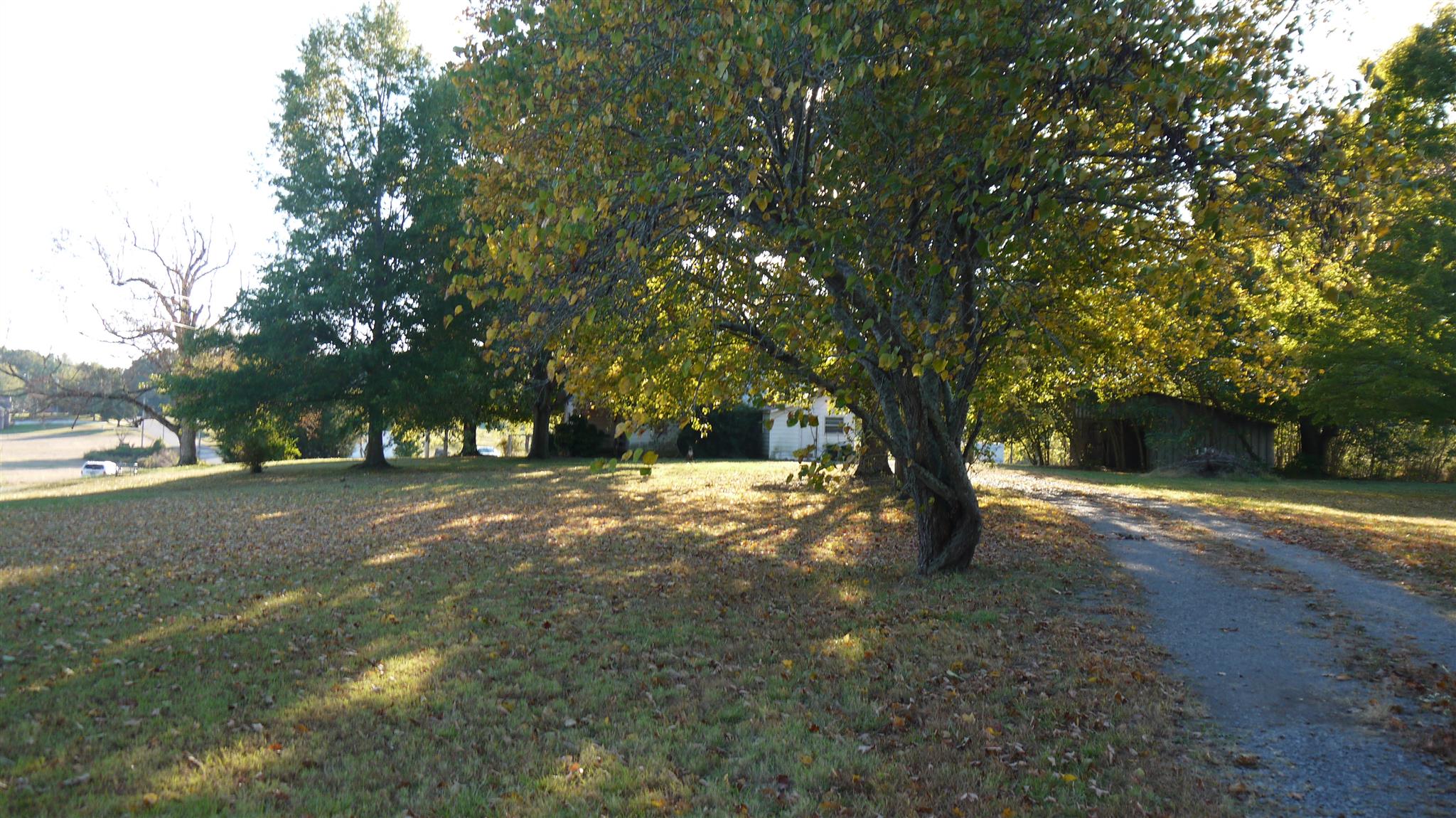 301 5 Points Road Tullahoma, TN 37388 - Photo 8 of 18 Gallery Image 8