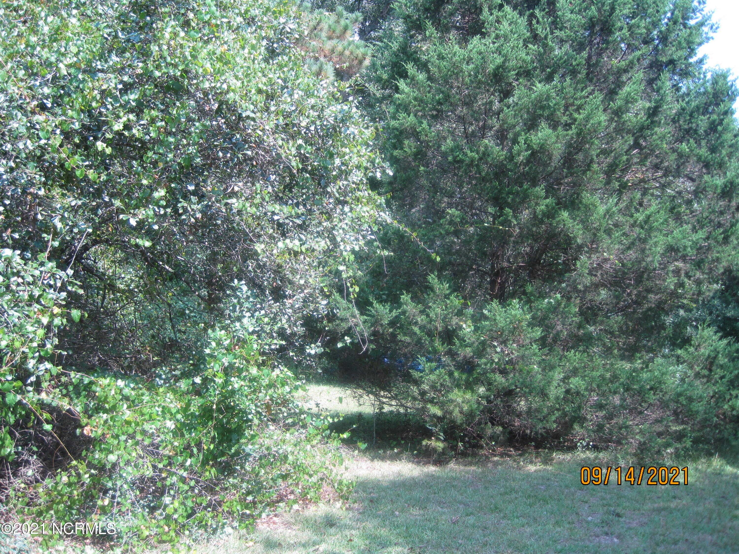 190 Old Bridge Road Rocky Point, NC 28457 - Photo 23 of 24 IMG_0047