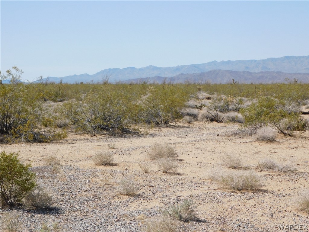 15071 South Aripine Road Yucca, AZ 86438 - Photo 28 of 38 Gallery Image 28