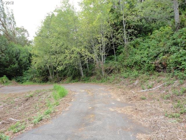 0 Council Hill Road Lakeside, OR 97449 - Photo 19 of 25 Gallery Image 19