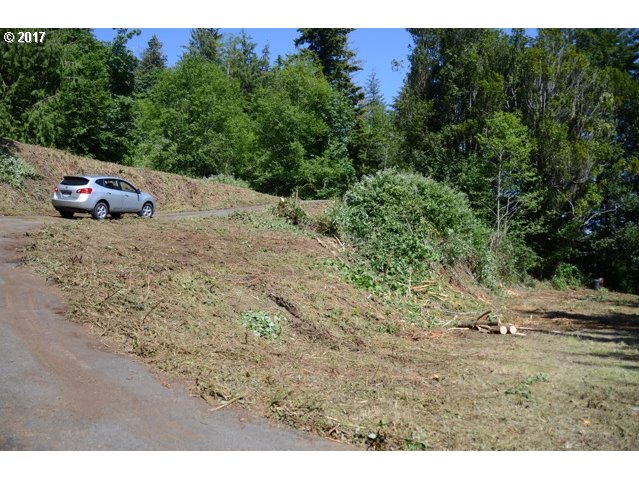 0 Council Hill Road Lakeside, OR 97449 - Photo 4 of 25 Gallery Image 4