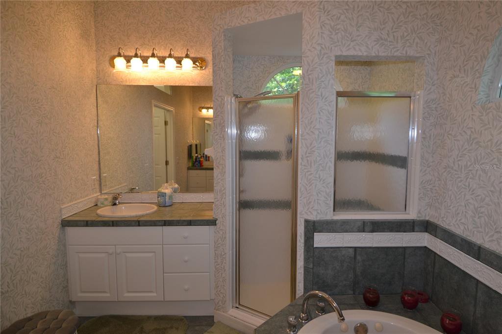 79 Northwest 48th Boulevard Gainesville, FL 32607 - Photo 16 of 30 a bathroom with a sink and a mirror