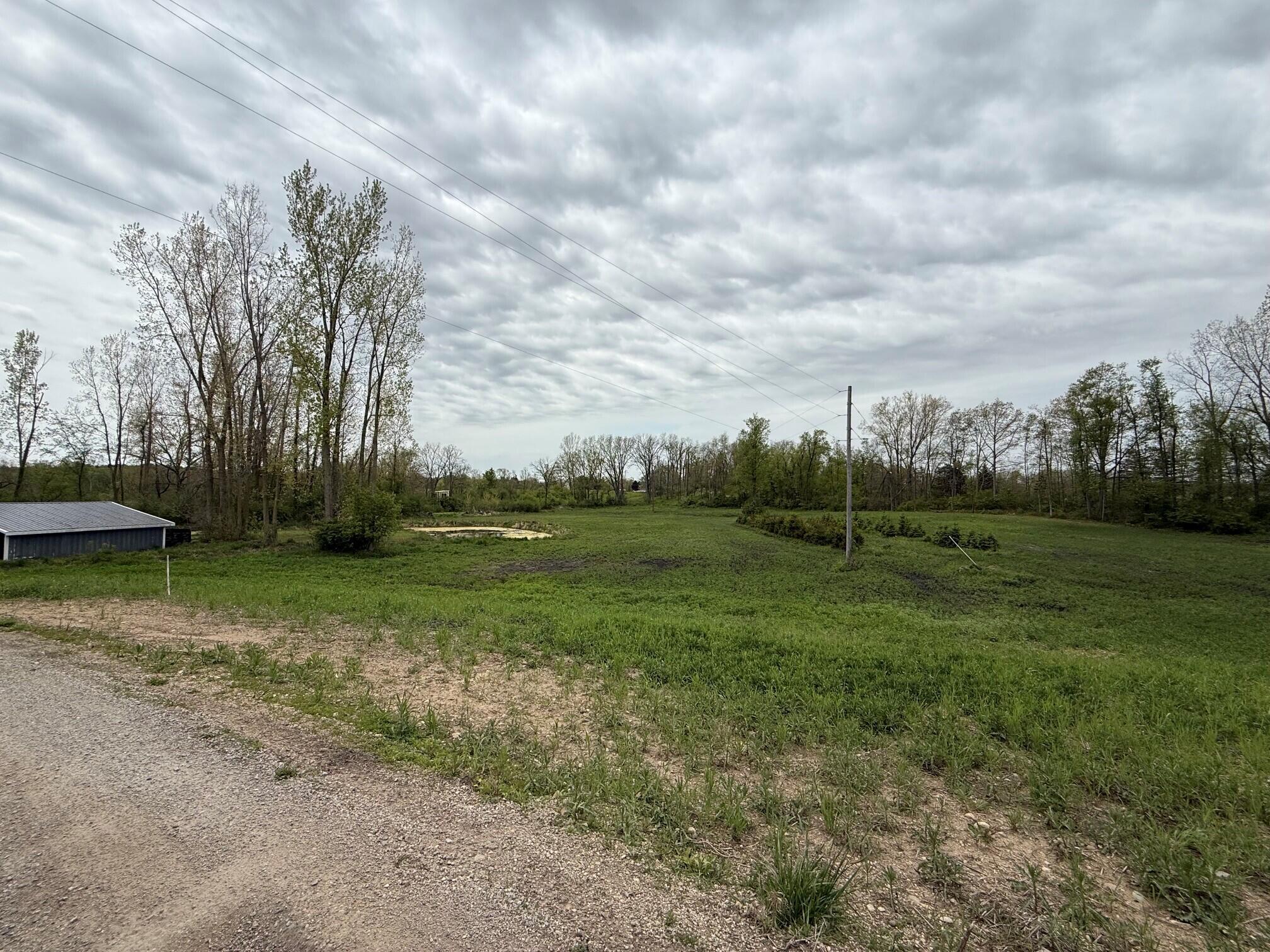 0 Reynolds Road Hillsdale, MI 49242 - Photo 4 of 5 2