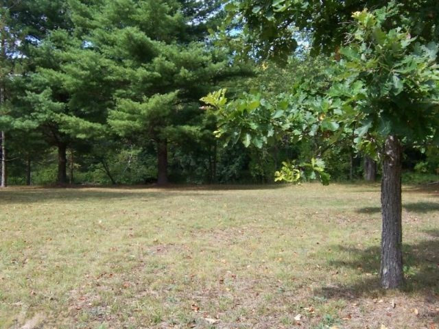 7020 West Deerpath Road Evart, MI 49631 - Photo 14 of 14 Additional Photo