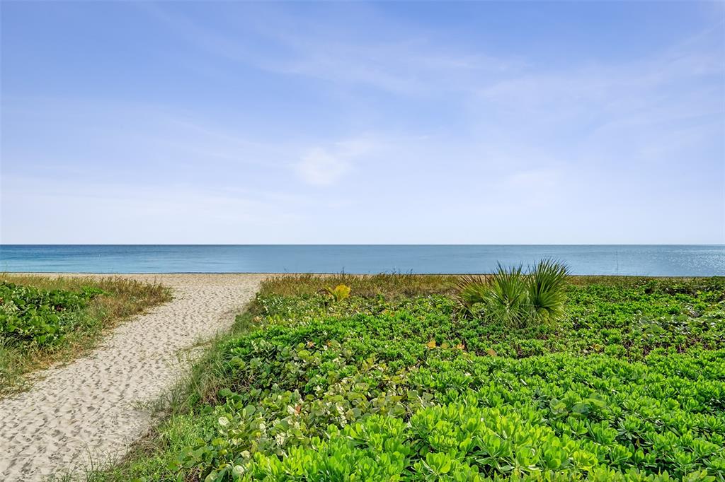 1390 South Ocean Boulevard, Unit 5C Pompano Beach, FL 33062 - Photo 6 of 35 a view of a field with an ocean