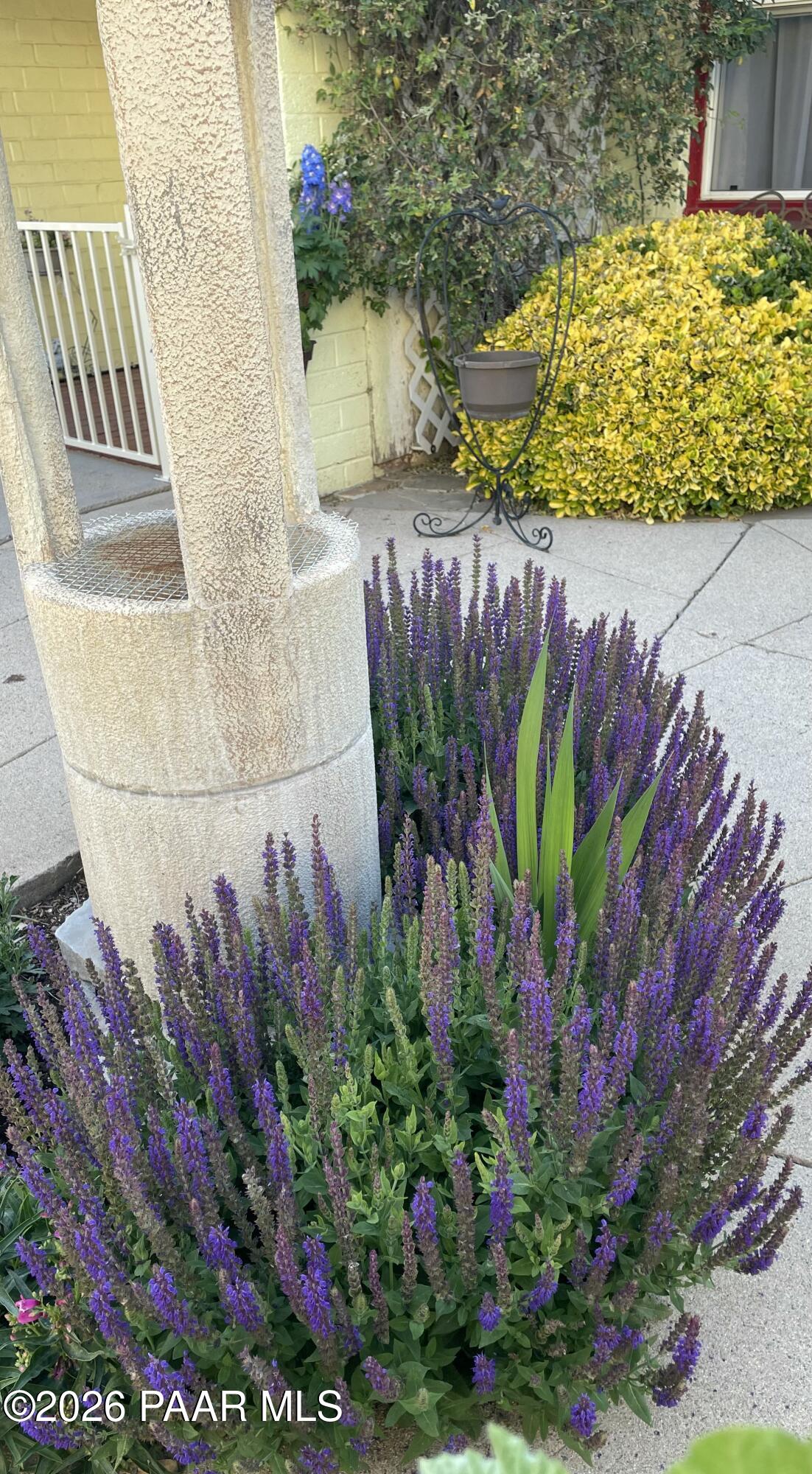 703 Ruth Street Prescott, AZ 86301 - Photo 19 of 26 Water Feature
