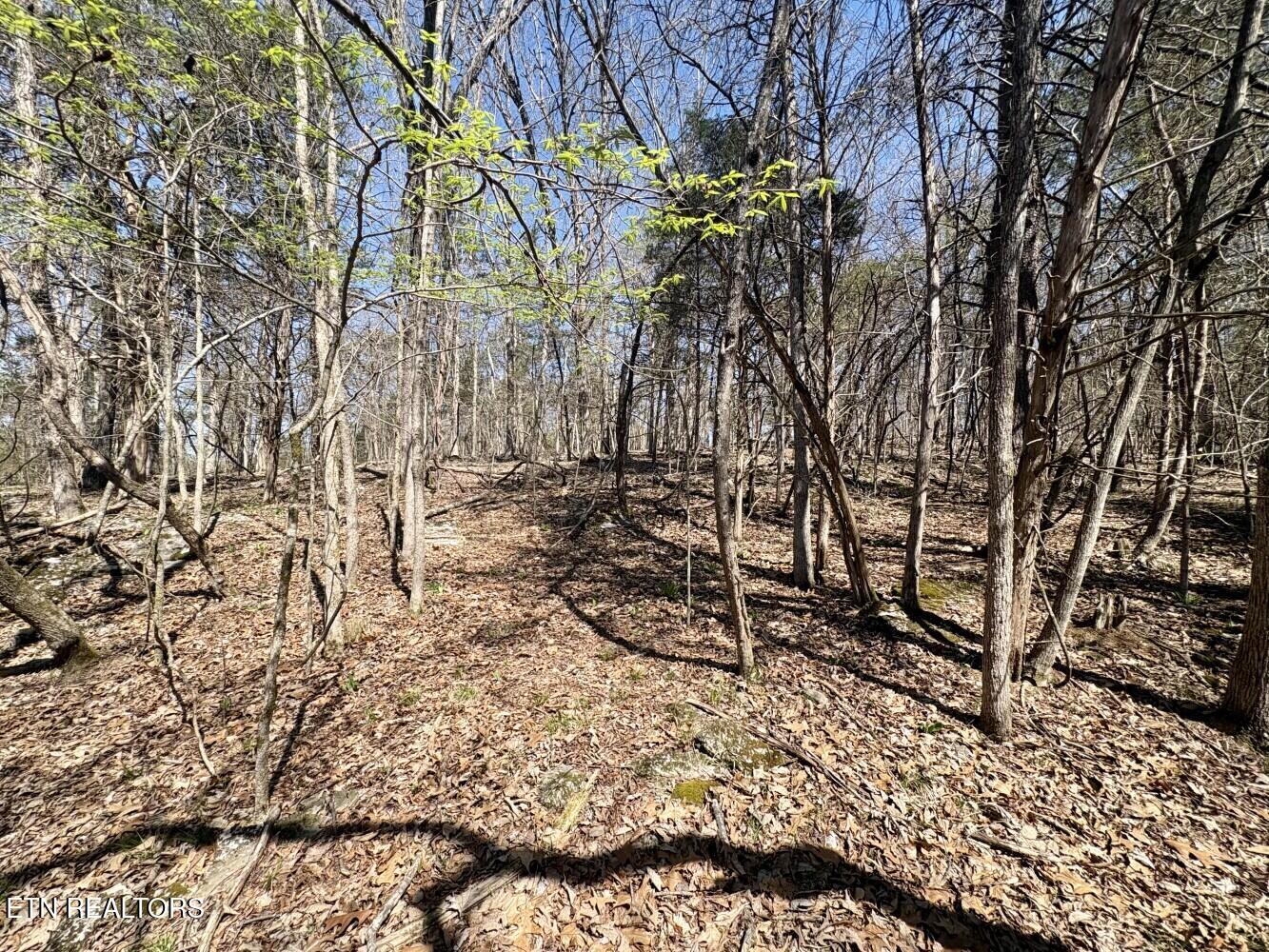 456 Geisler Road Piney Flats, TN 37686 - Photo 12 of 16 69d3e46c3a377