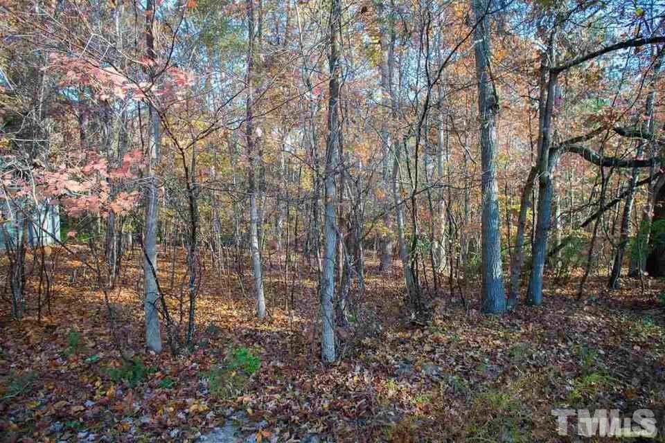5233 Tomahawk Trail Raleigh, NC 27610 - Photo 7 of 8 Gallery Image 7