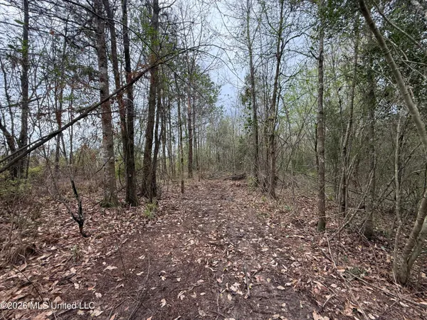 $235,000 | 1818 Big Creek Drive Southwest, Bogue Chitto, MS 39629