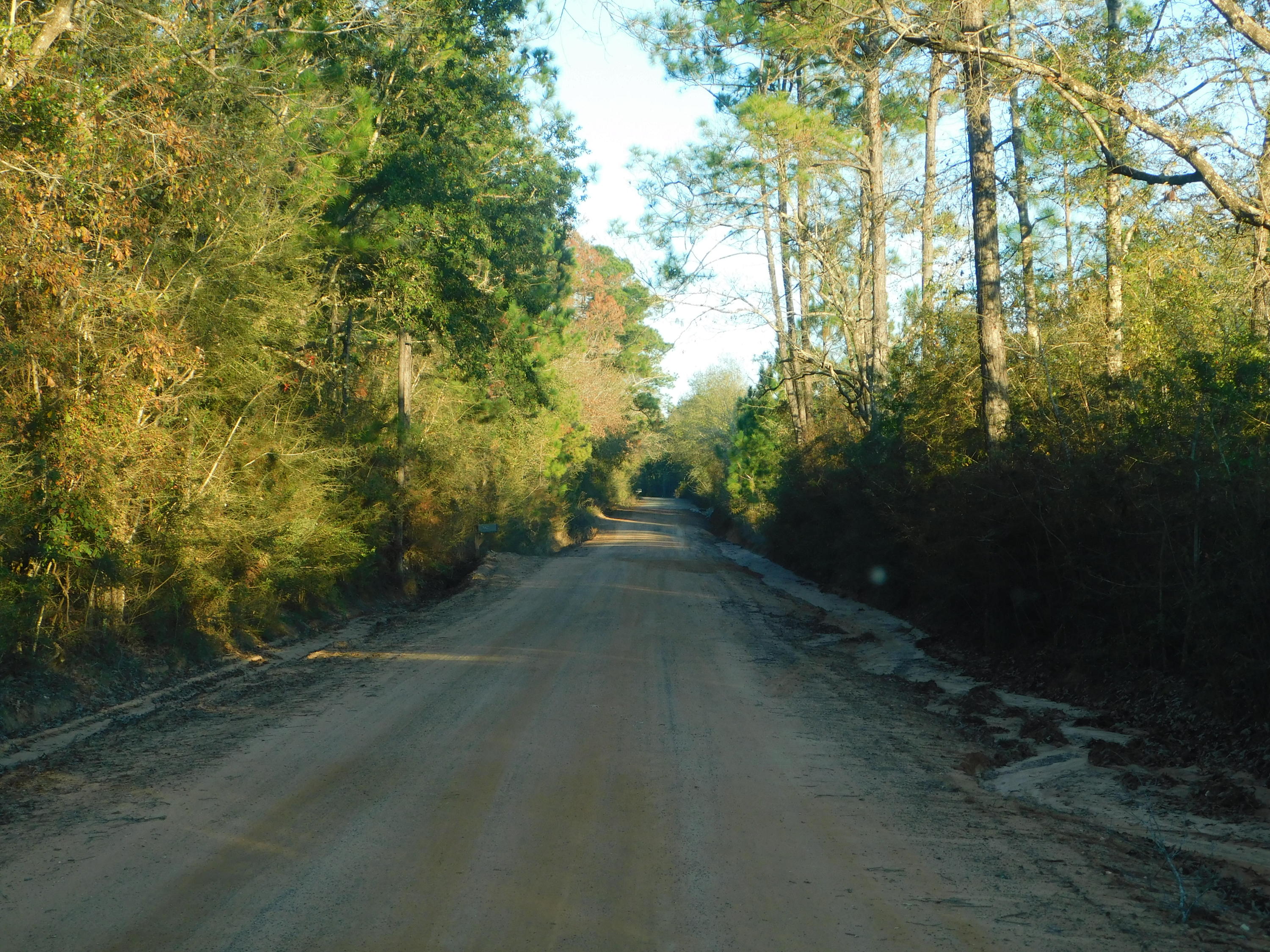 4 Rd Baker Road Baker, FL 32531 - Photo 14 of 47 Copy of DSCN2045