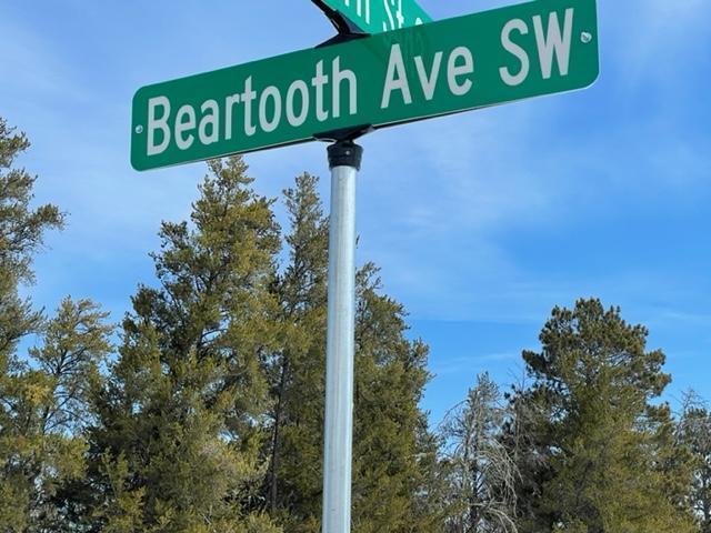 Tbd Lot 5 Tbd Beartooth Avenue Southwest Bemidji, MN 56601 - Photo 1 of 6