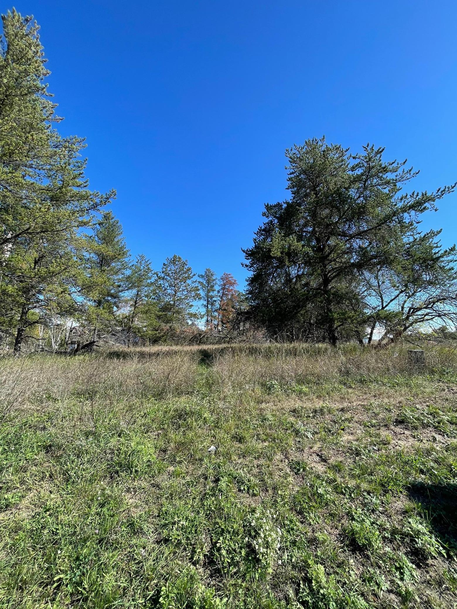 Tbd Lot 5 Tbd Beartooth Avenue Southwest Bemidji, MN 56601 - Photo 6 of 6