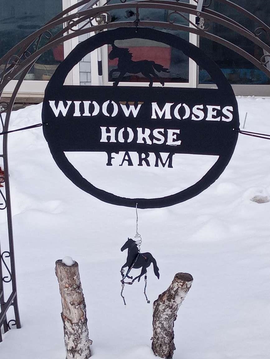 65 Widow Moses Road Berlin, VT 05602 - Photo 2 of 56