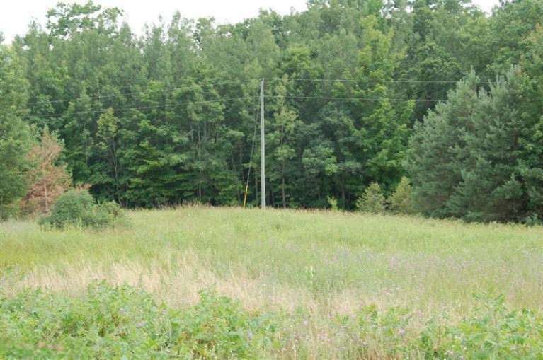 4 West Jackson Road Hart, MI 49420 - Photo 3 of 17 Additional Photo