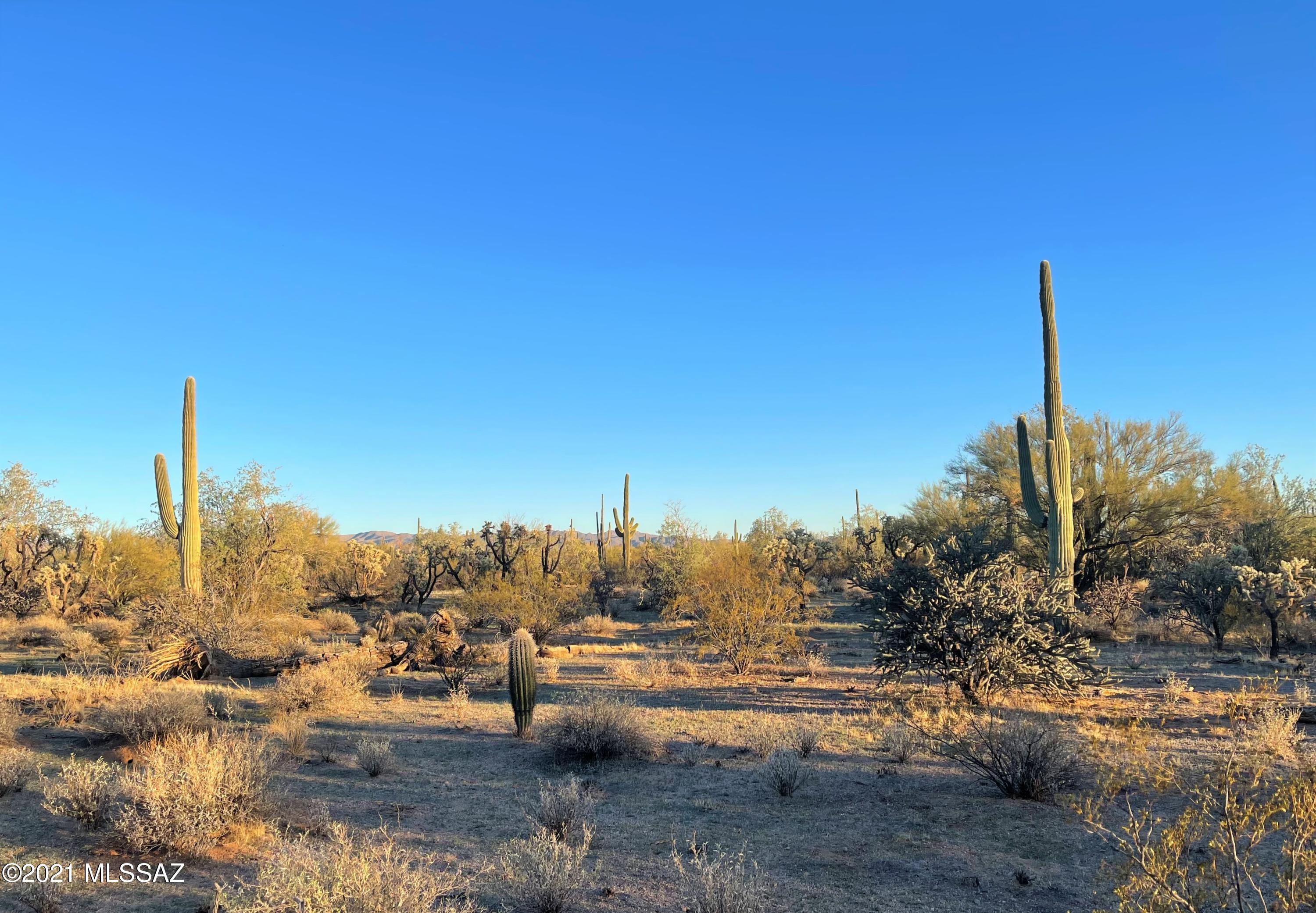 South Cattle Tank Road, Unit 20 Marana, AZ 85658 - Photo 10 of 20