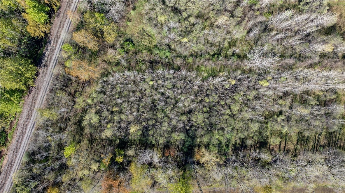 16126 Telegraph Road Murray, NY 14470 - Photo 42 of 50