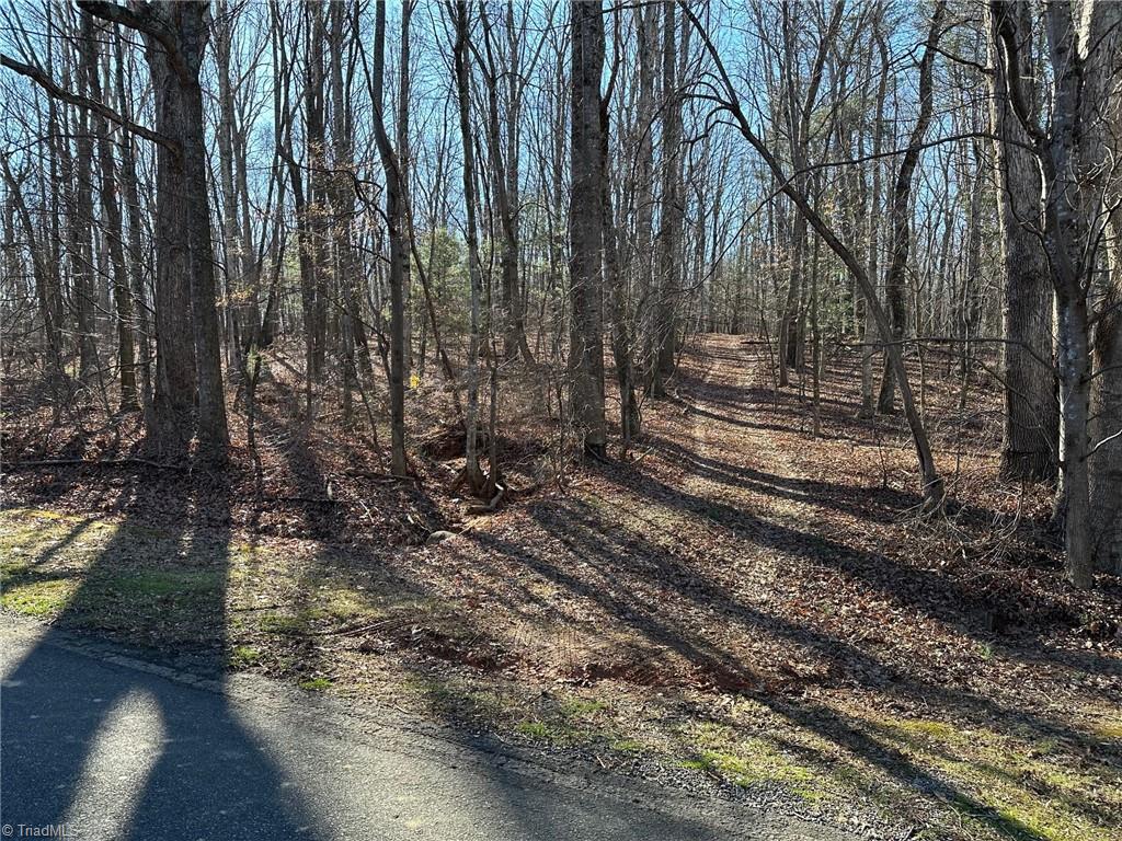 0 Mt Pleasant Church Road State Road, NC 28676 - Photo 12 of 12 Gallery Image 12