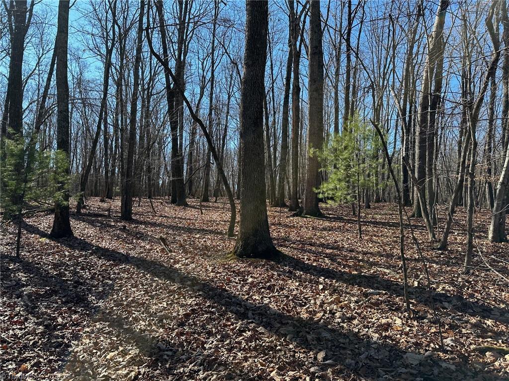 0 Mt Pleasant Church Road State Road, NC 28676 - Photo 3 of 12 Gallery Image 3