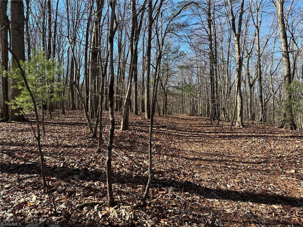 0 Mt Pleasant Church Road State Road, NC 28676 - Photo 4 of 12 Gallery Image 4