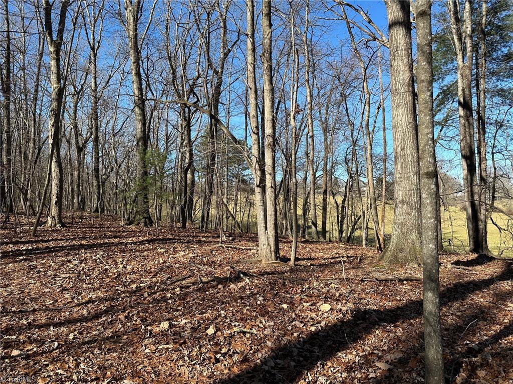 0 Mt Pleasant Church Road State Road, NC 28676 - Photo 5 of 12 Gallery Image 5