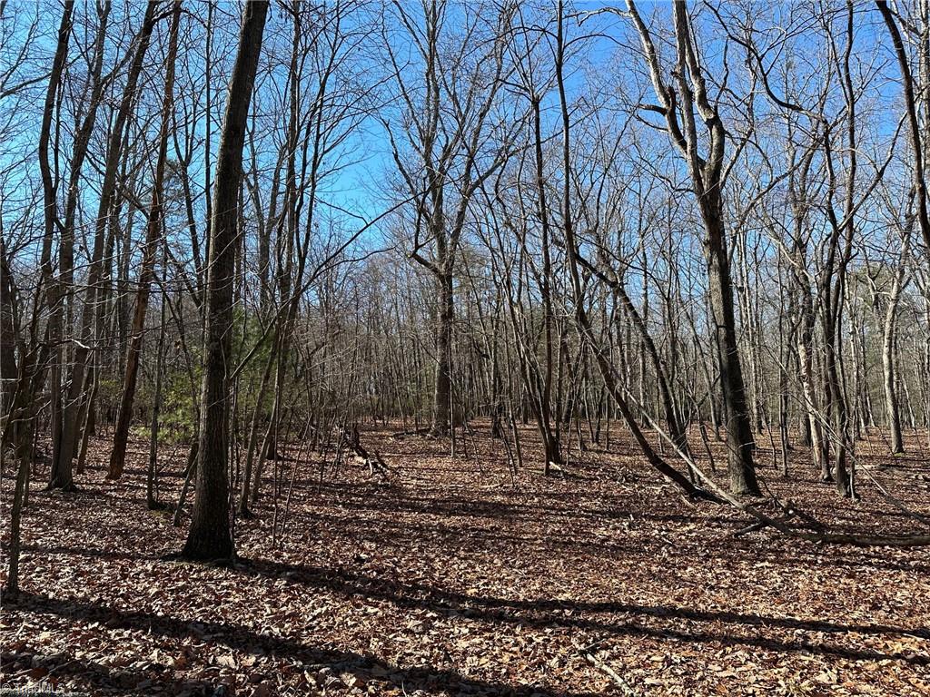 0 Mt Pleasant Church Road State Road, NC 28676 - Photo 6 of 12 Gallery Image 6