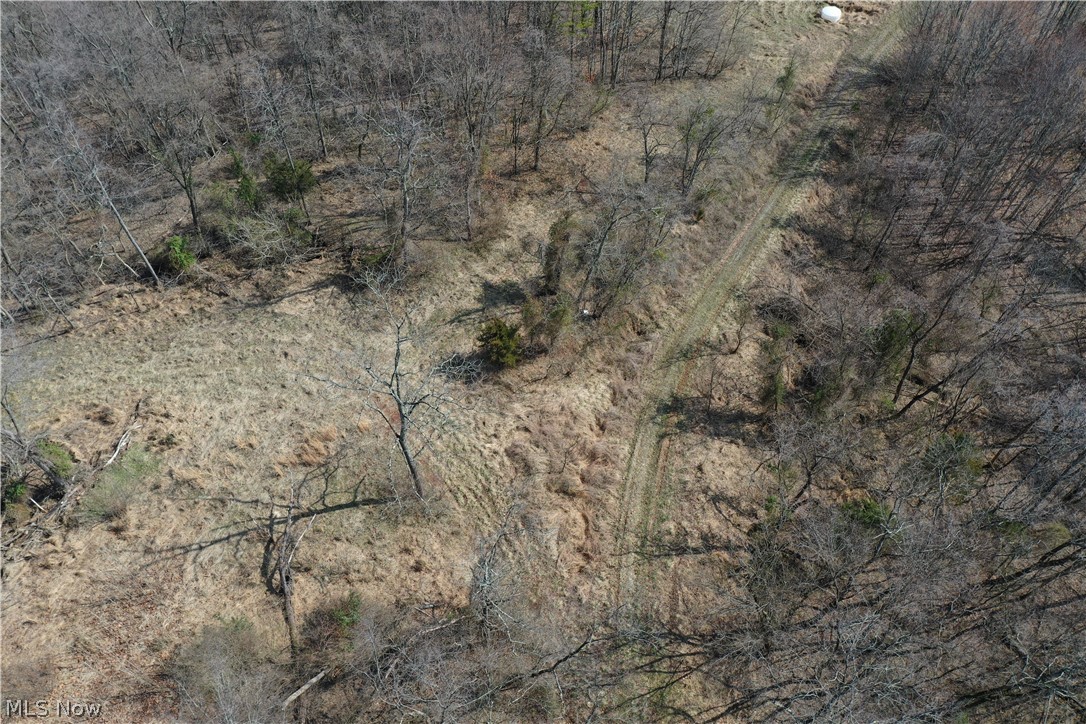 1 Sarvis Fork Road Sandyville, WV 25275 - Photo 16 of 44 Gallery Image 16