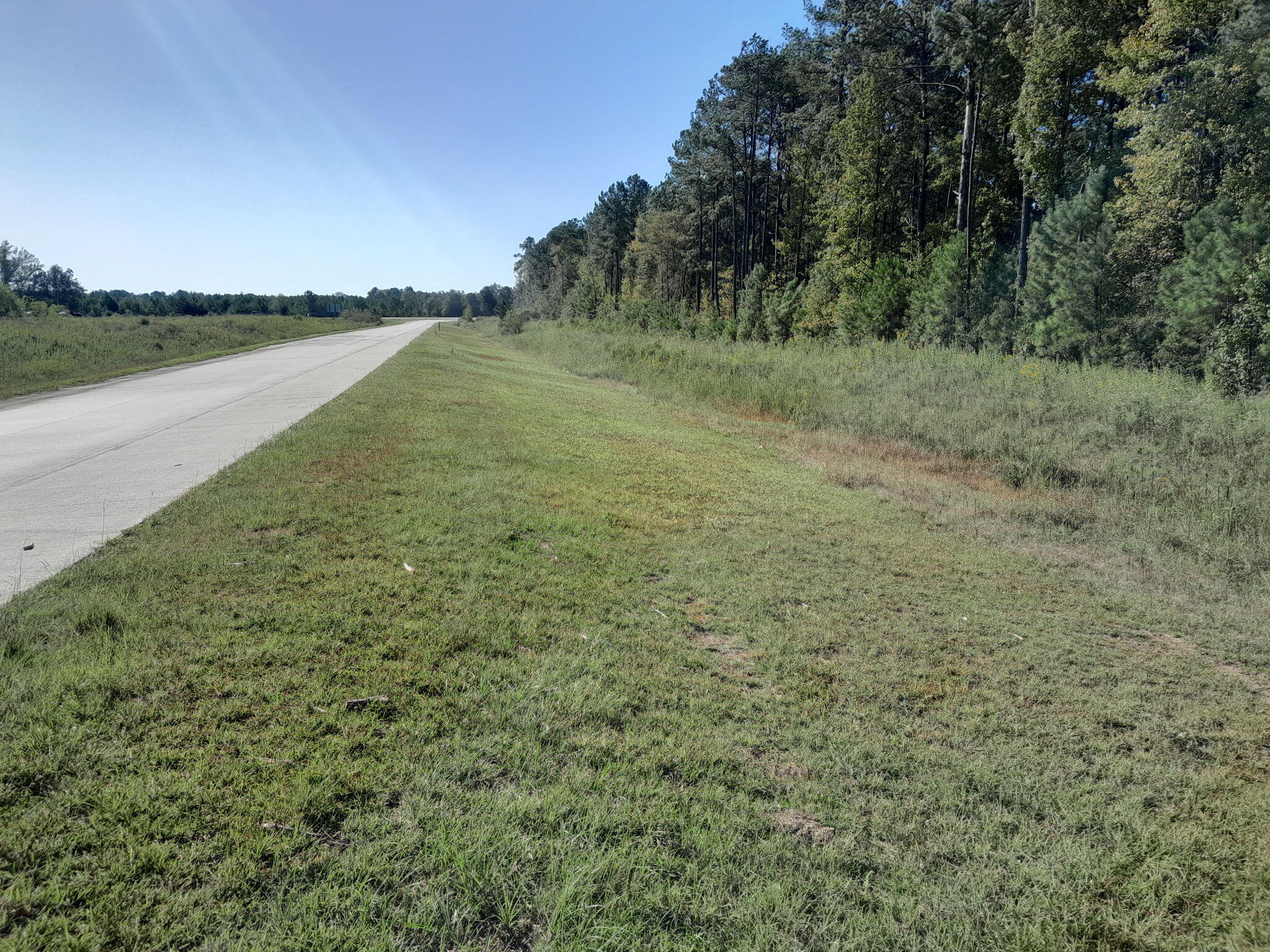 0 Ellexlee Road Santee, SC 29142 - Photo 2 of 3