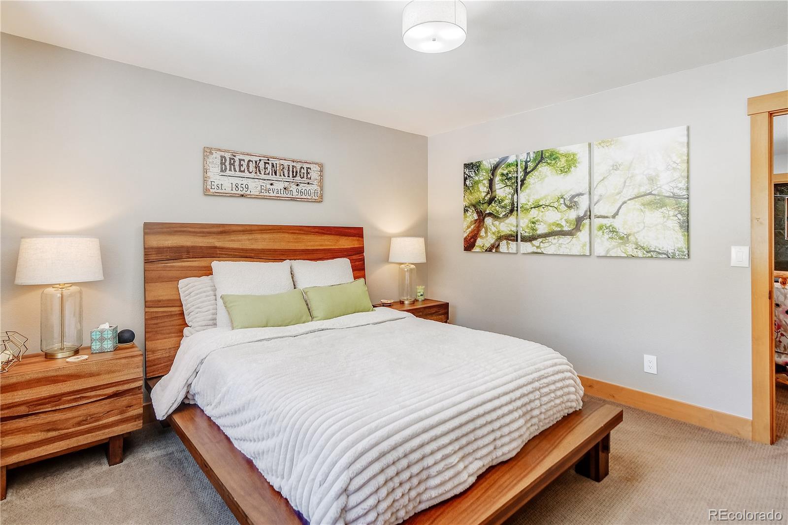 6292 Barton Road Breckenridge, CO 80424 - Photo 10 of 50 Gallery Image 10
