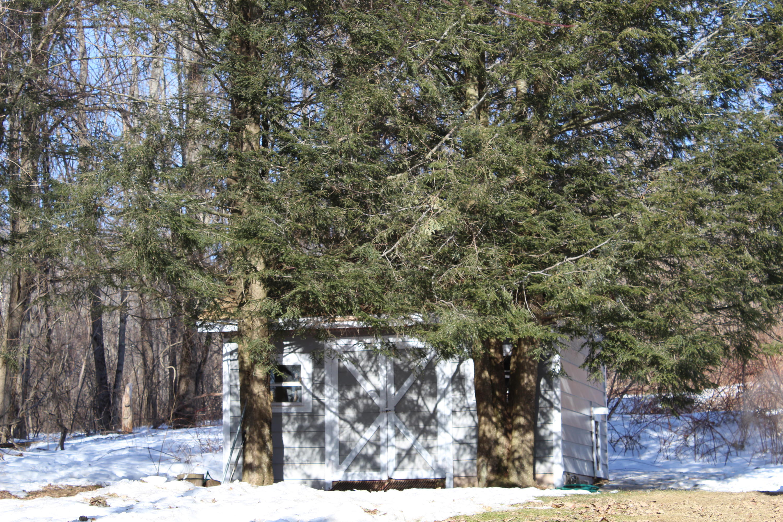 126 Ridge Road Fairfield, ME 04937 - Photo 32 of 34 IMG_1612