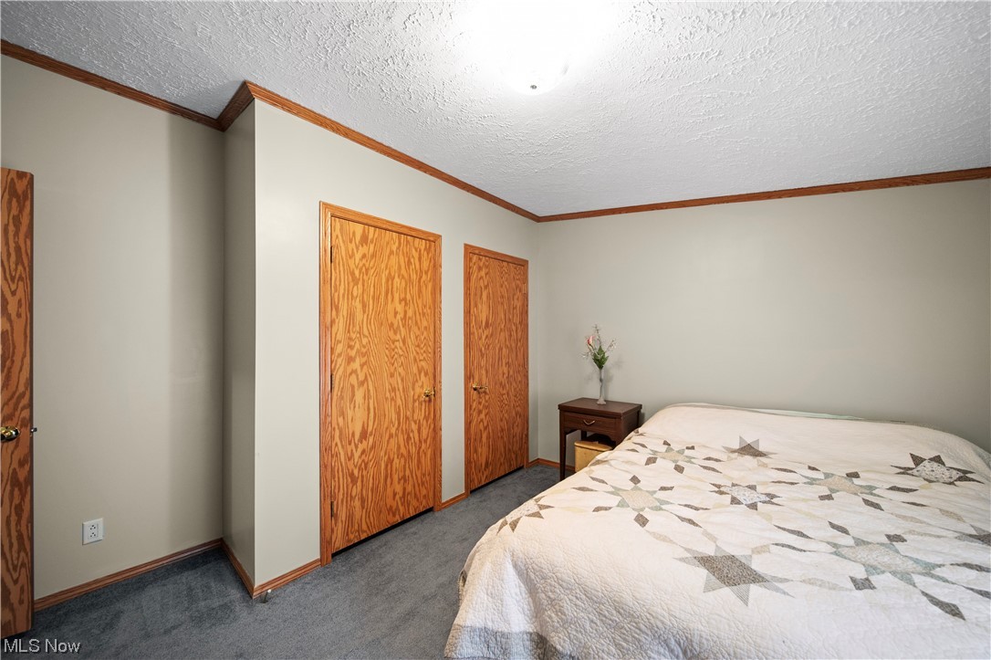 4951 Lane Road Perry, OH 44081 - Photo 20 of 31 Bedroom featuring a textured ceiling, two closets, and dark colored carpet