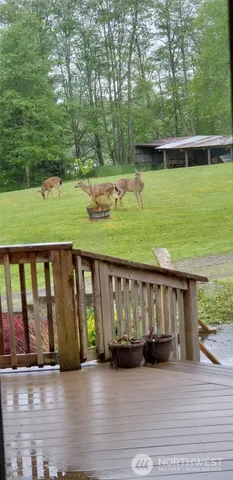 a view of swimming pool with a yard