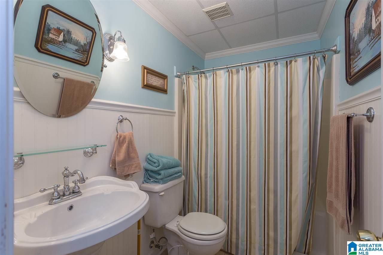 59 Lakeview Drive Oneonta, AL 35121 - Photo 34 of 49