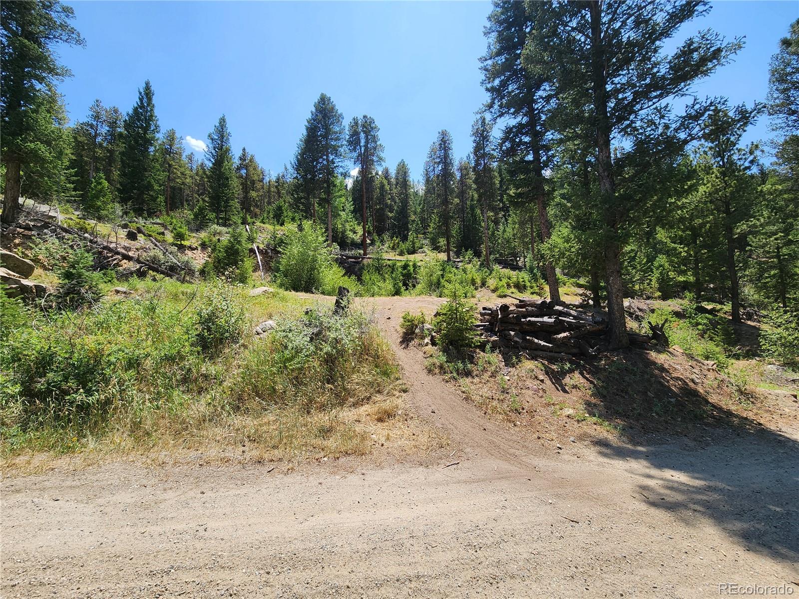 256 Capital Road Dumont, CO 80436 - Photo 4 of 50