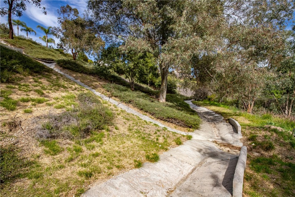24910 Chicory Court Stevenson Ranch, CA 91381 - Photo 11 of 31 a view of a yard with plants and large trees