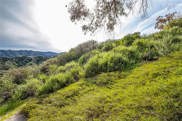 a view of a bunch of trees and bushes