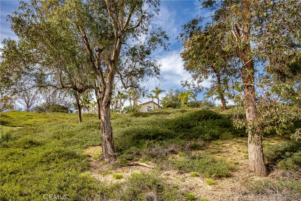 24910 Chicory Court Stevenson Ranch, CA 91381 - Photo 13 of 31 a view of a yard with a tree