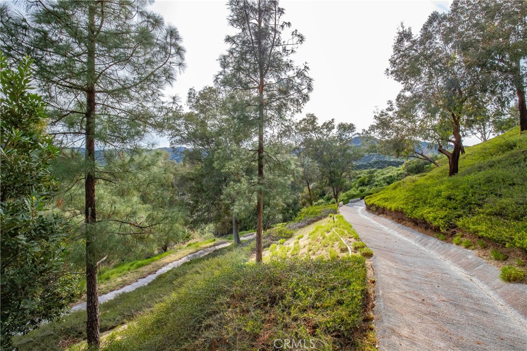 24910 Chicory Court Stevenson Ranch, CA 91381 - Photo 15 of 31 a view of a forest with a yard