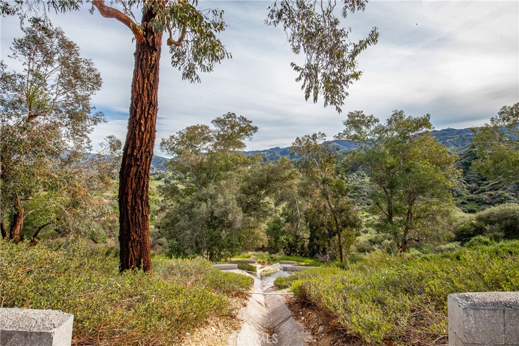 24910 Chicory Court Stevenson Ranch, CA 91381 - Photo 16 of 31 a view of a yard with an trees