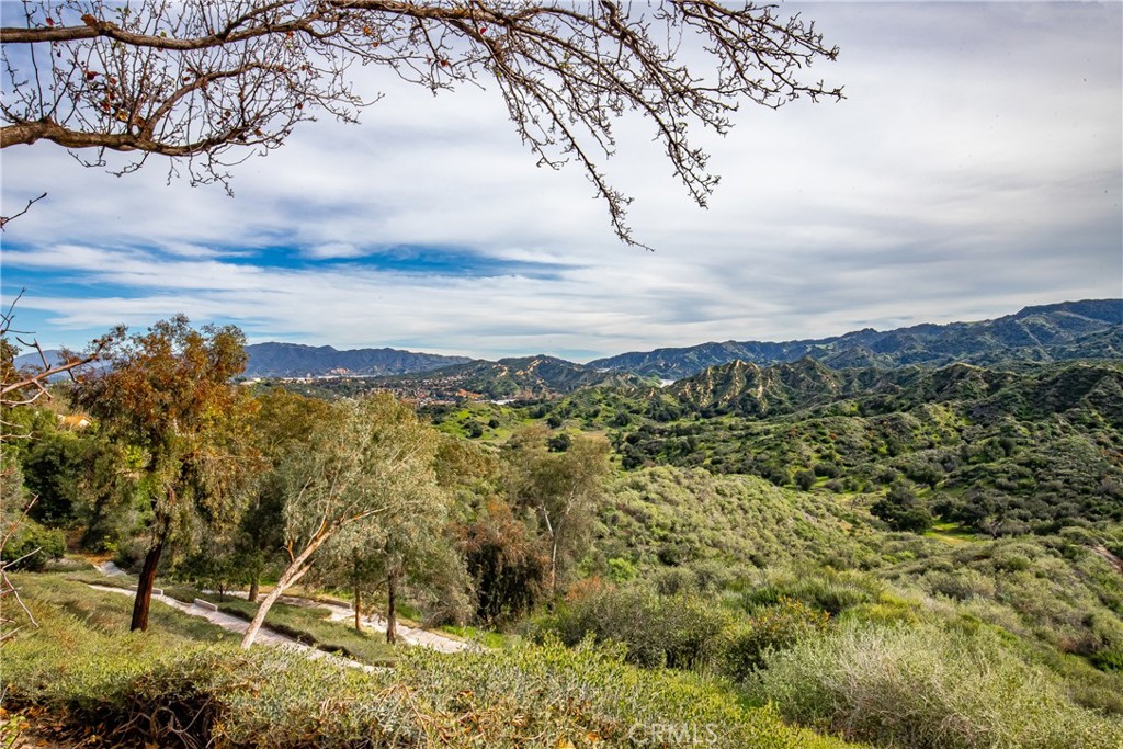 24910 Chicory Court Stevenson Ranch, CA 91381 - Photo 17 of 31 a view of a sky from a yard