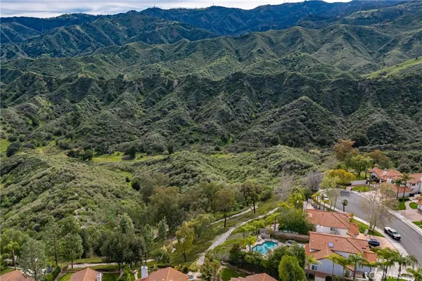 a view of a lush green forest with lots of trees